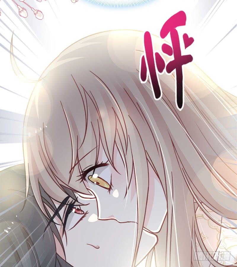 《天下第一宠》65 夜袭箐王 第18页