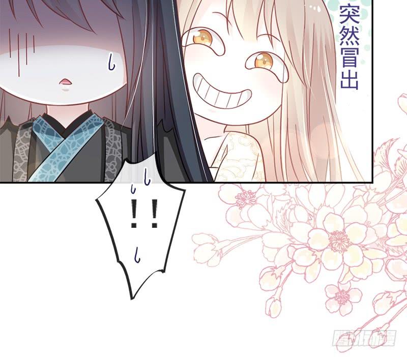 《天下第一宠》65 夜袭箐王 第13页