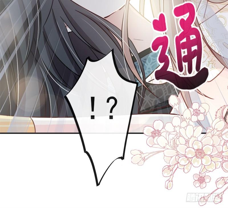 《天下第一宠》65 夜袭箐王 第19页