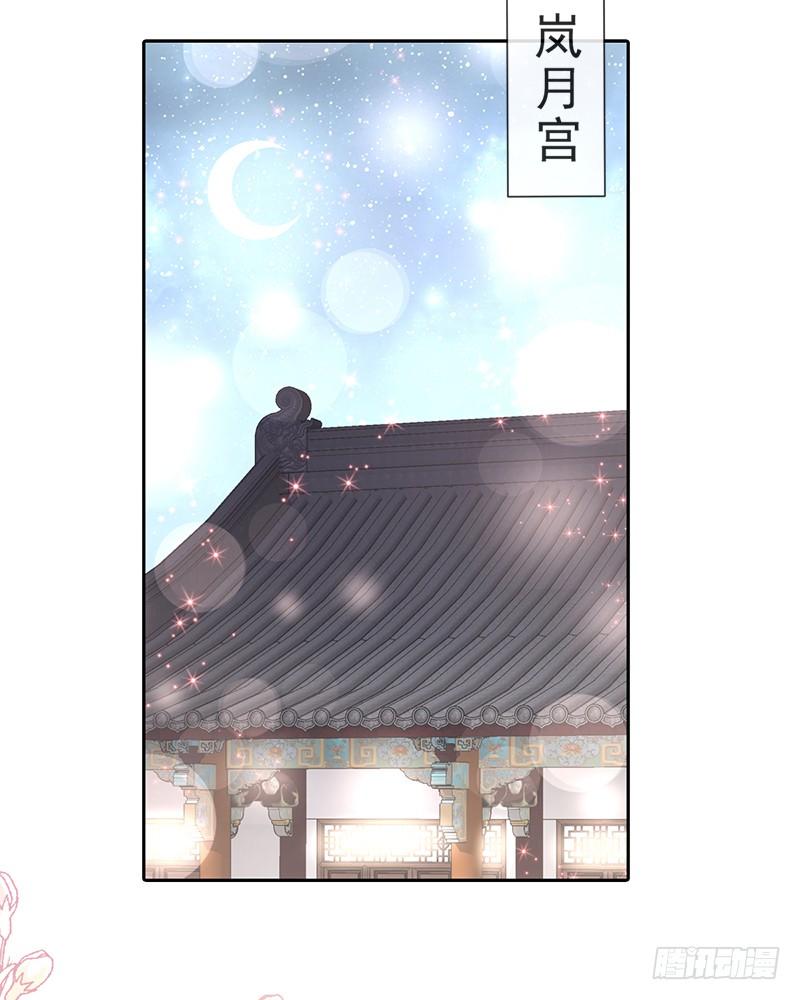 《天下第一宠》65 夜袭箐王 第2页