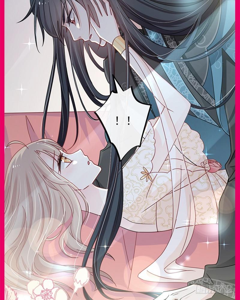 《天下第一宠》65 夜袭箐王 第46页