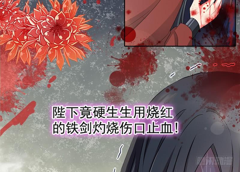 《天下第一宠》67 兆国篇·终章 第44页