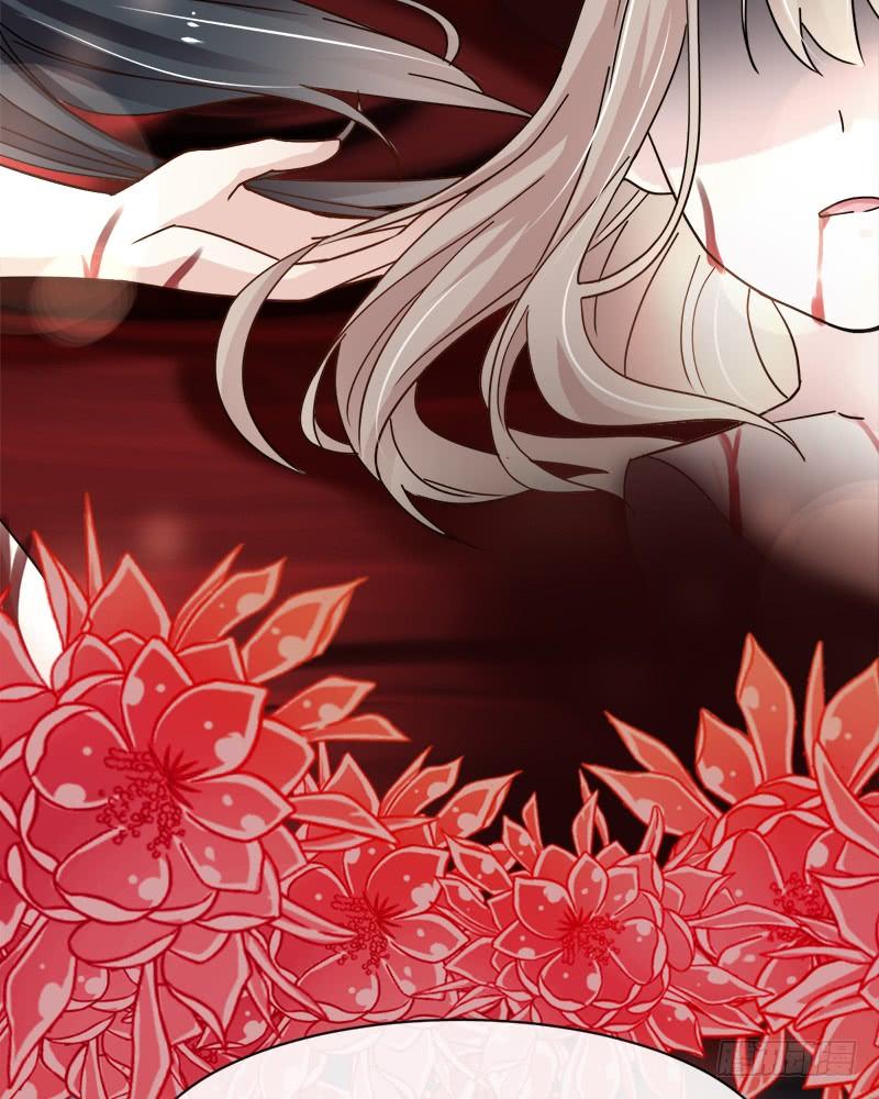 《天下第一宠》67 兆国篇·终章 第62页