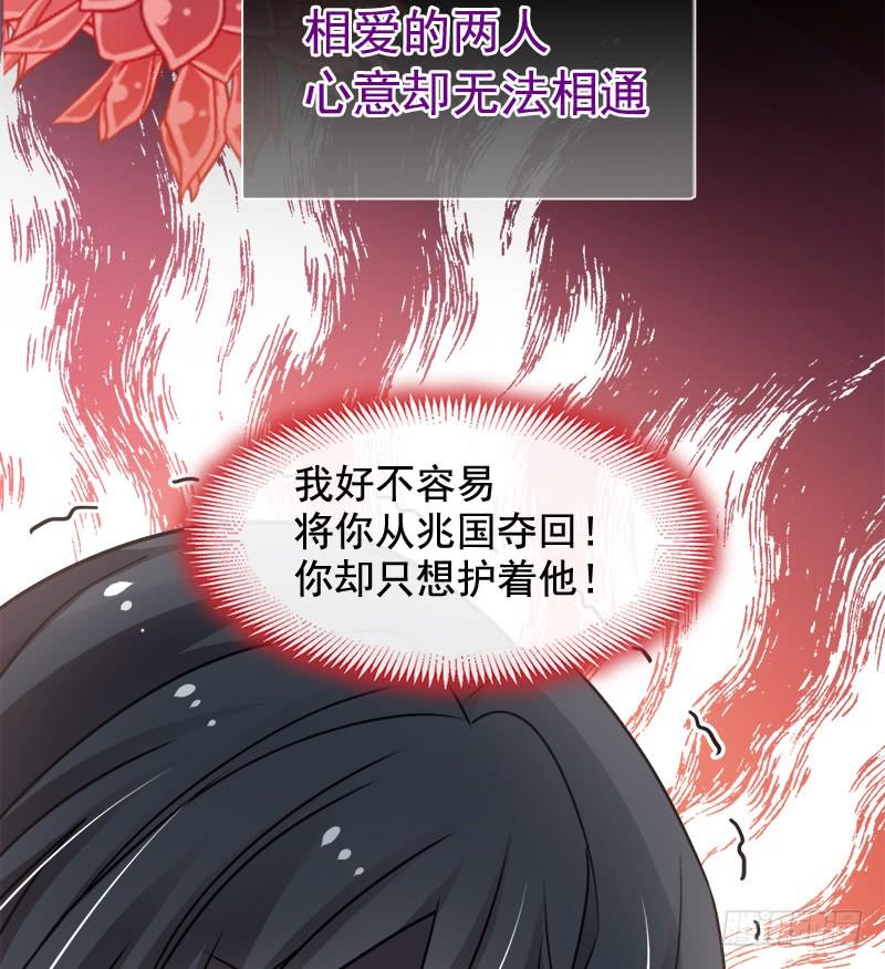 《天下第一宠》67 兆国篇·终章 第74页