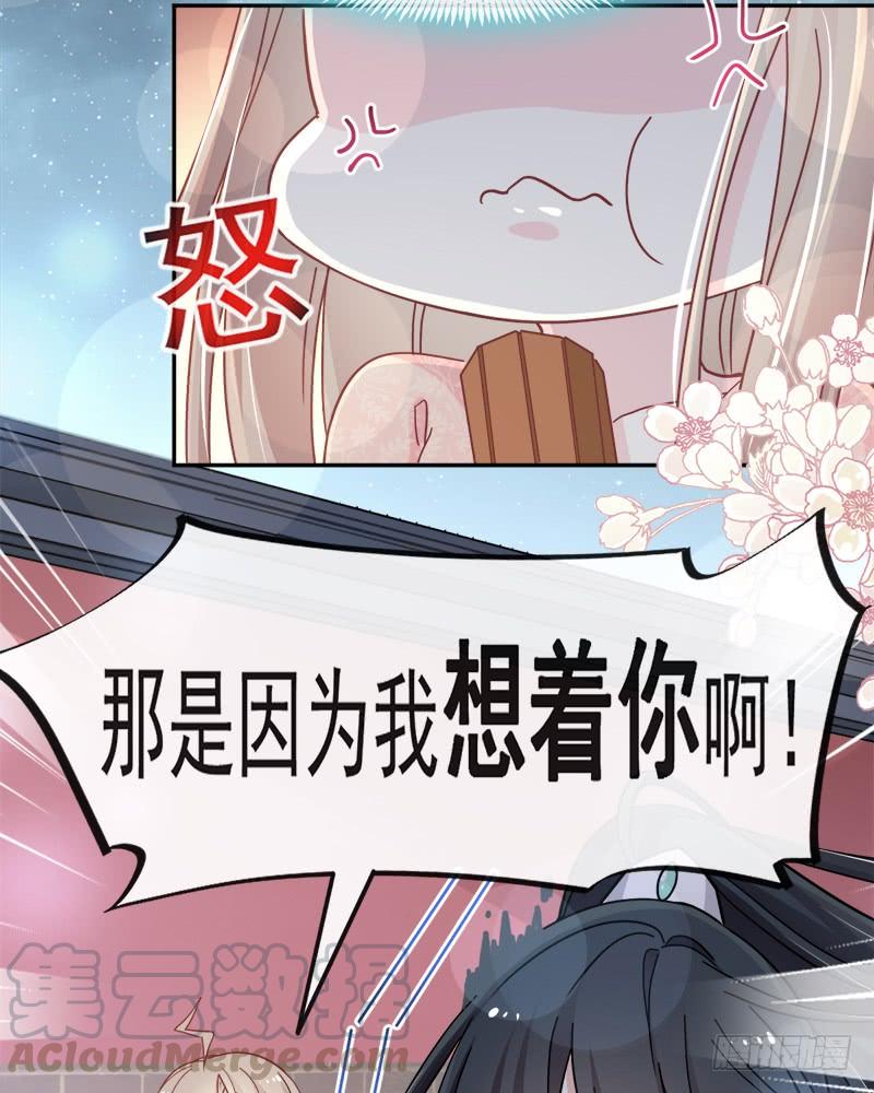 《天下第一宠》70 本王心中的野兽 第31页