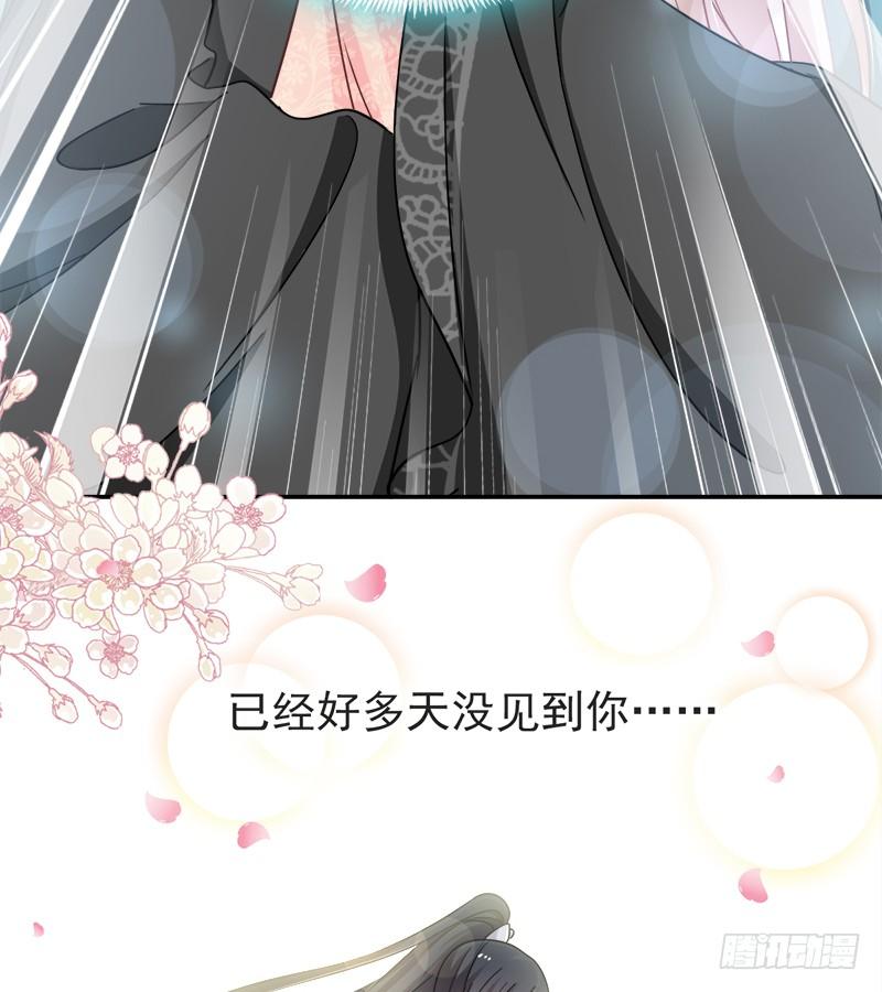 《天下第一宠》70 本王心中的野兽 第19页
