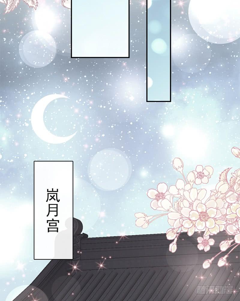 《天下第一宠》71 江山美人 第10页