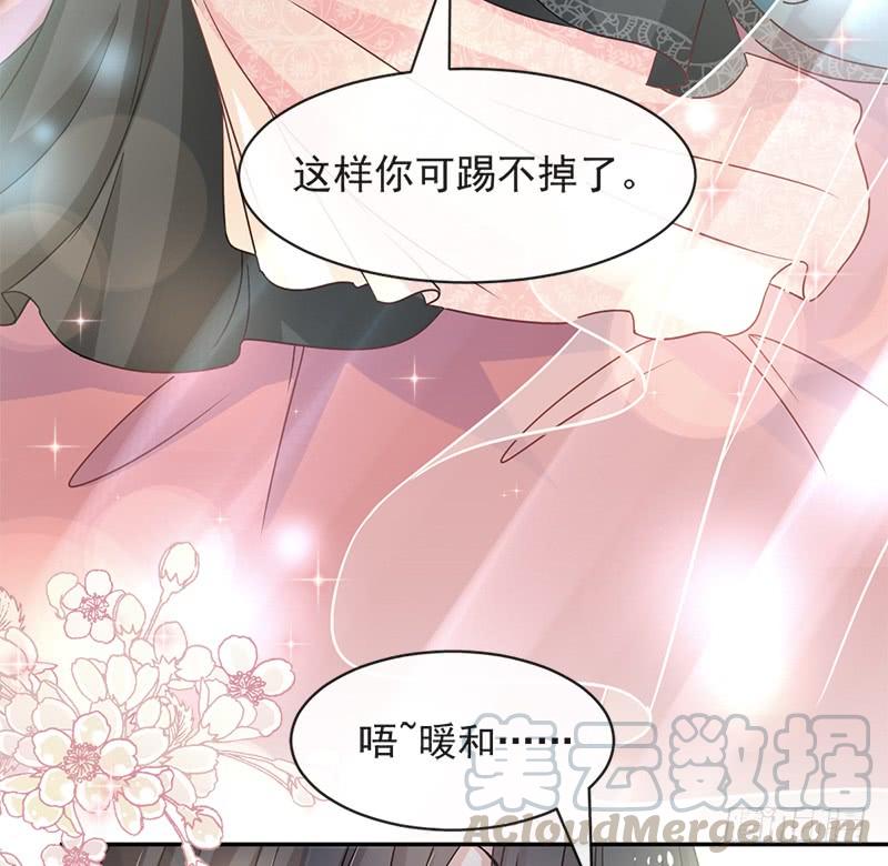 《天下第一宠》71 江山美人 第51页