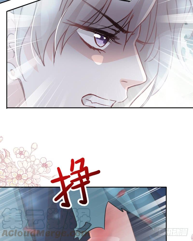 《天下第一宠》79 天堂与地狱的折磨 第29页