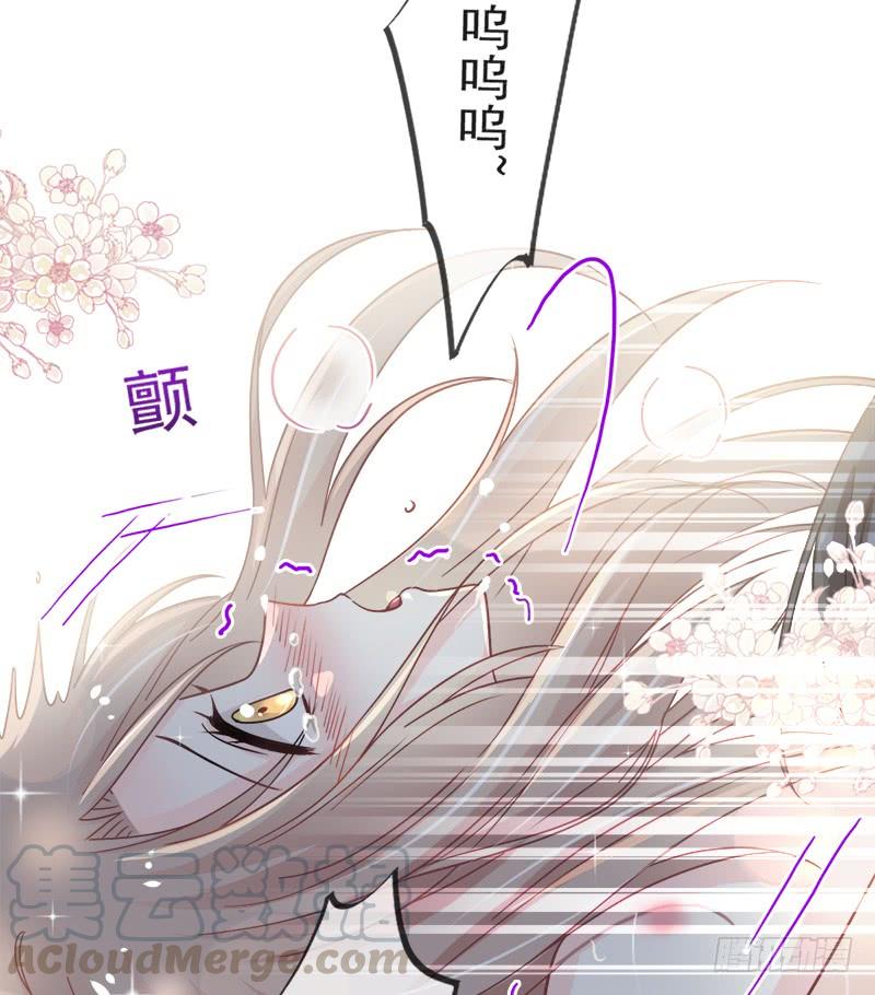 《天下第一宠》83 终于拥有你的全部 第36页