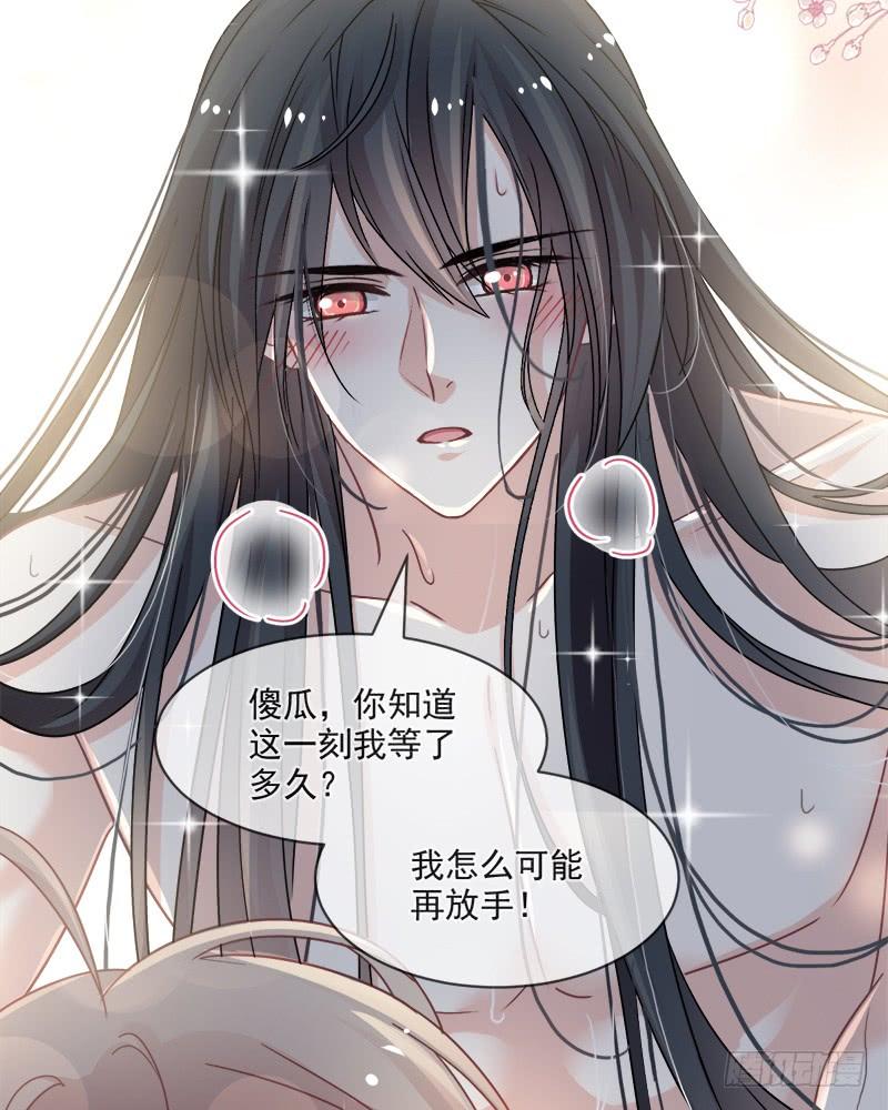 《天下第一宠》83 终于拥有你的全部 第27页