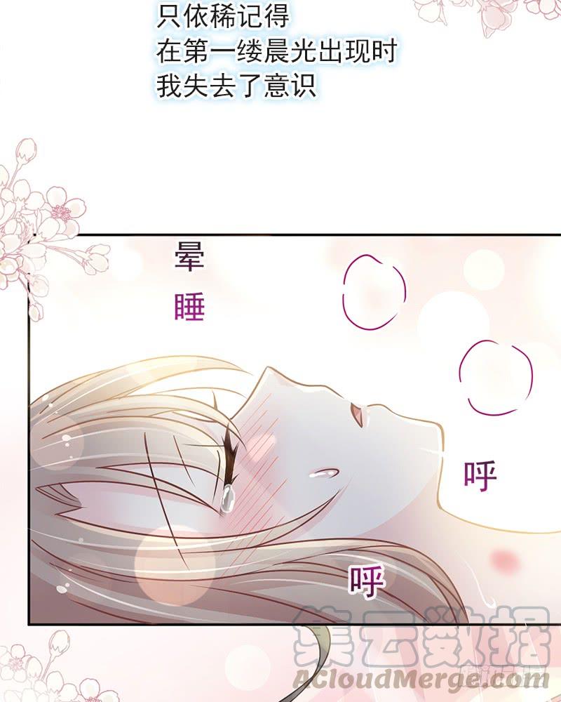 《天下第一宠》83 终于拥有你的全部 第43页