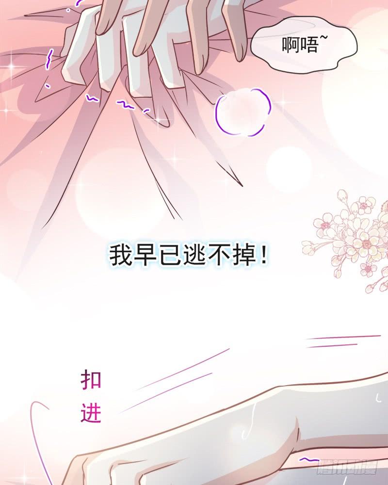 《天下第一宠》83 终于拥有你的全部 第32页