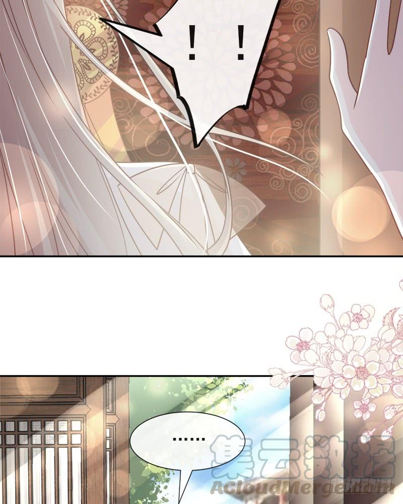 《天下第一宠》86 替我保护她 第15页