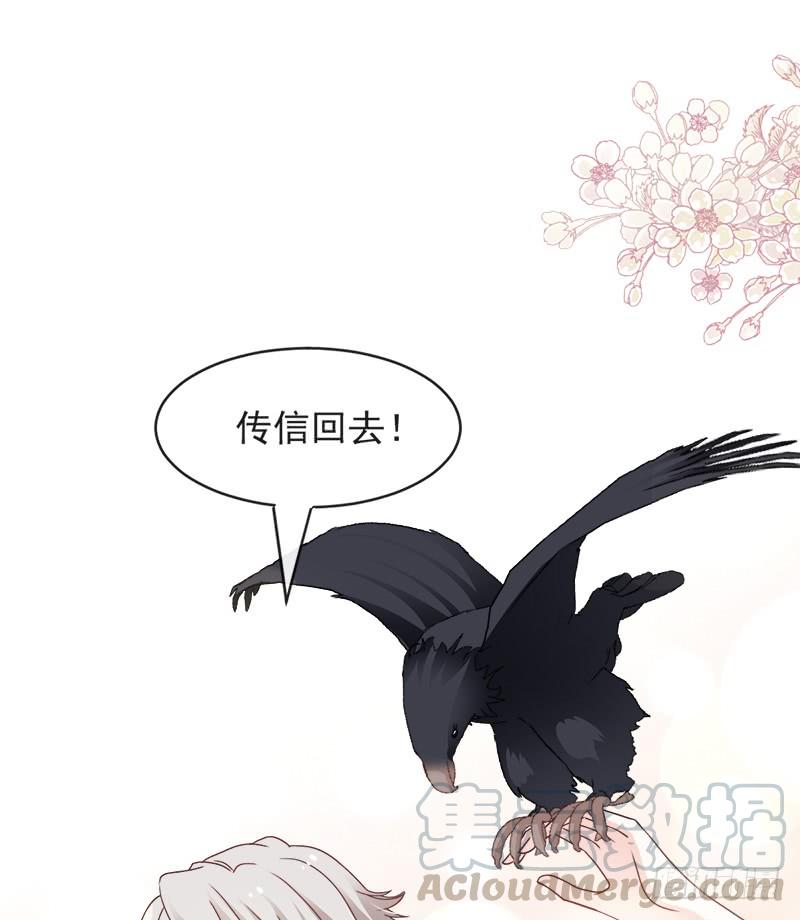 《天下第一宠》88 万黎收网 第14页