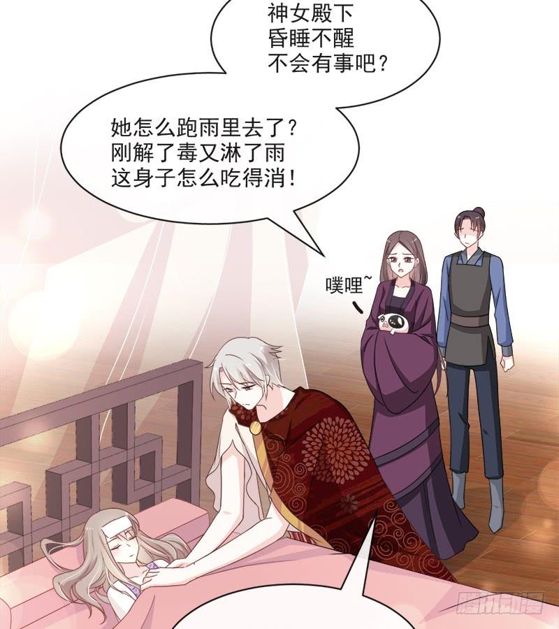《天下第一宠》88 万黎收网 第6页