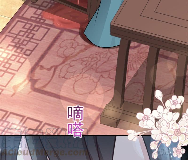 《天下第一宠》88 万黎收网 第42页