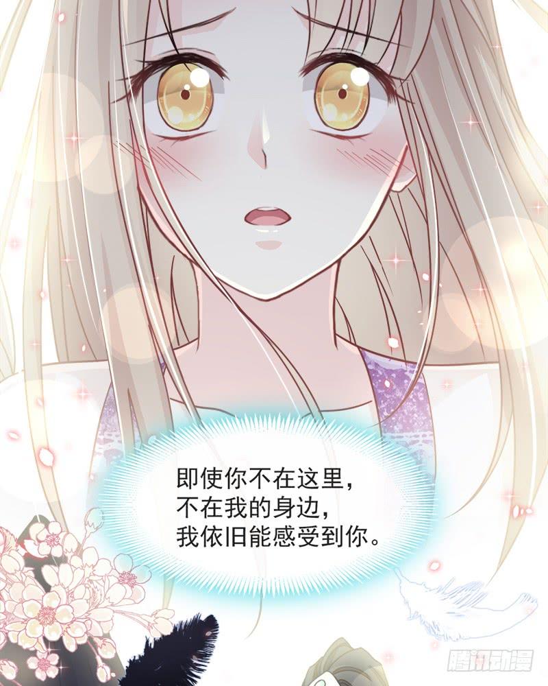 《天下第一宠》90 开始反击 第46页