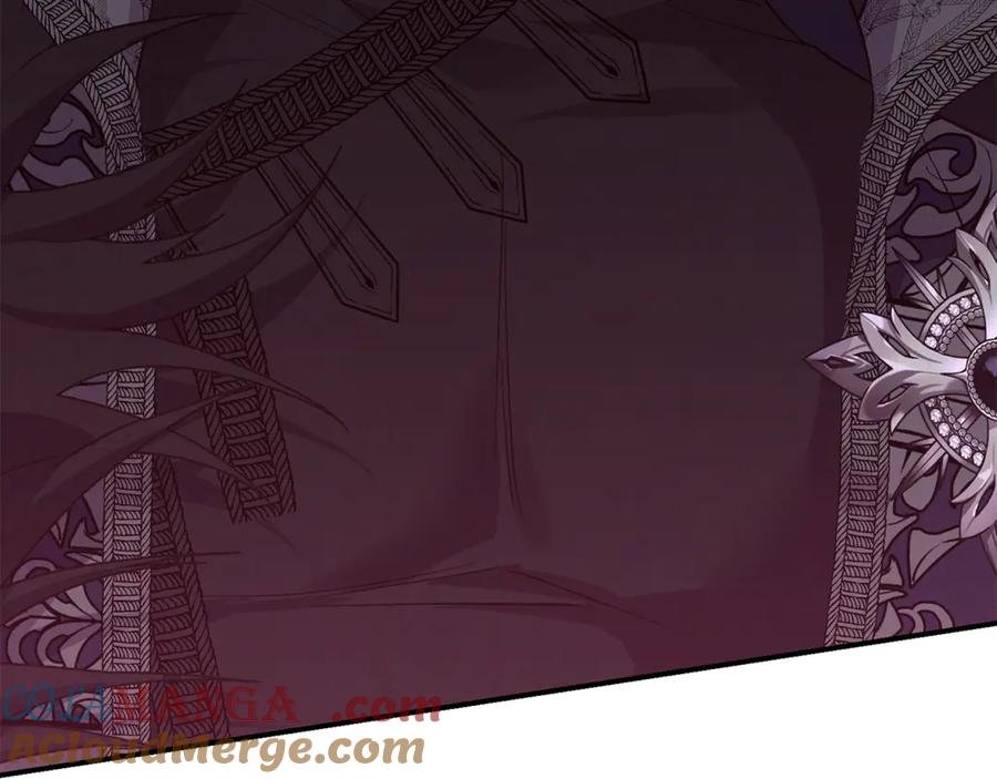 穿越成怪物太子的夫人 第36话 替代 第213页