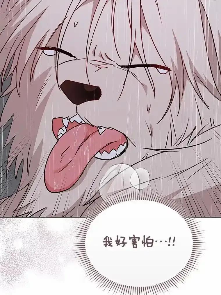 《你好？兽医先生！》58.小古历险记（2） 第2页