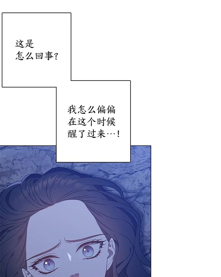 《魅惑狐狸》73.示狐的牺牲 第120页