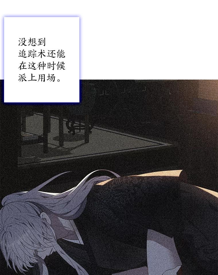 《魅惑狐狸》73.示狐的牺牲 第112页