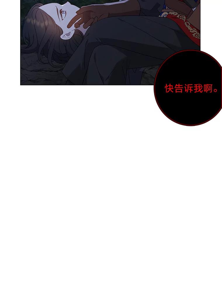 《魅惑狐狸》74.换你自由 第96页