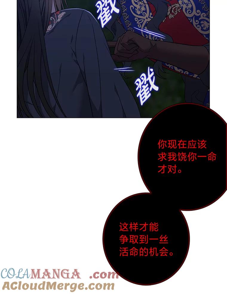 《魅惑狐狸》74.换你自由 第117页