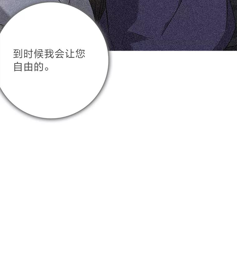 《魅惑狐狸》74.换你自由 第90页
