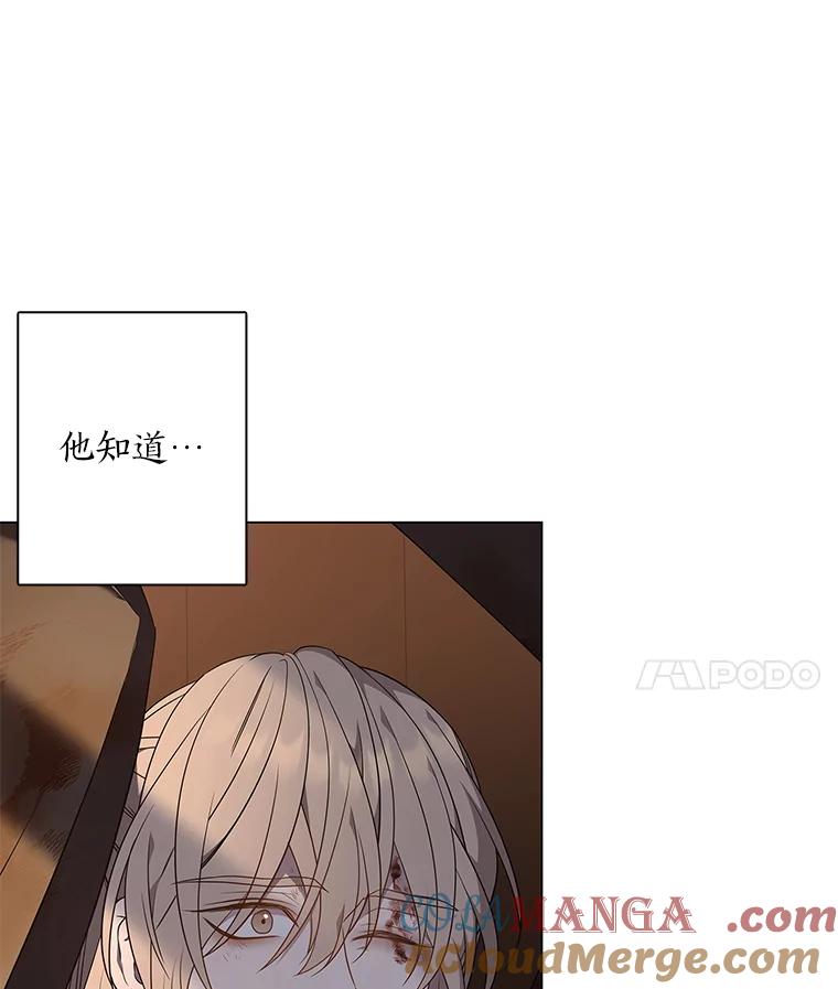《魅惑狐狸》74.换你自由 第17页