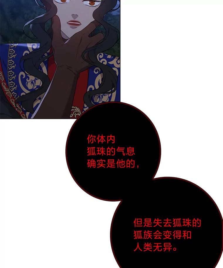 《魅惑狐狸》74.换你自由 第75页