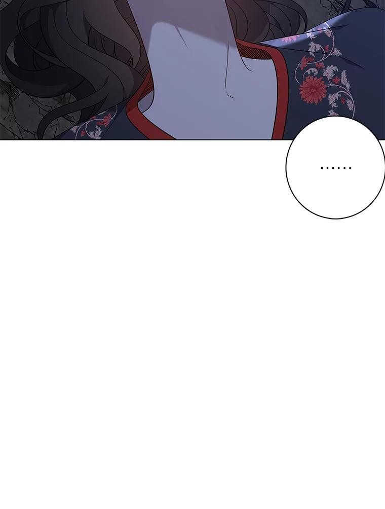 《魅惑狐狸》74.换你自由 第103页