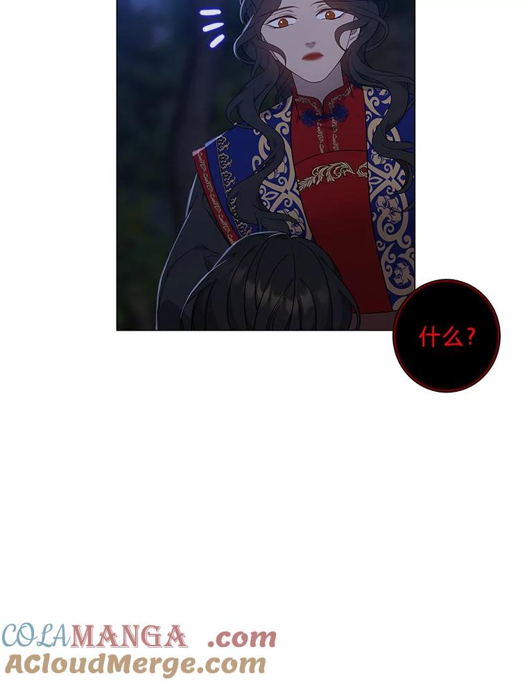 《魅惑狐狸》74.换你自由 第113页