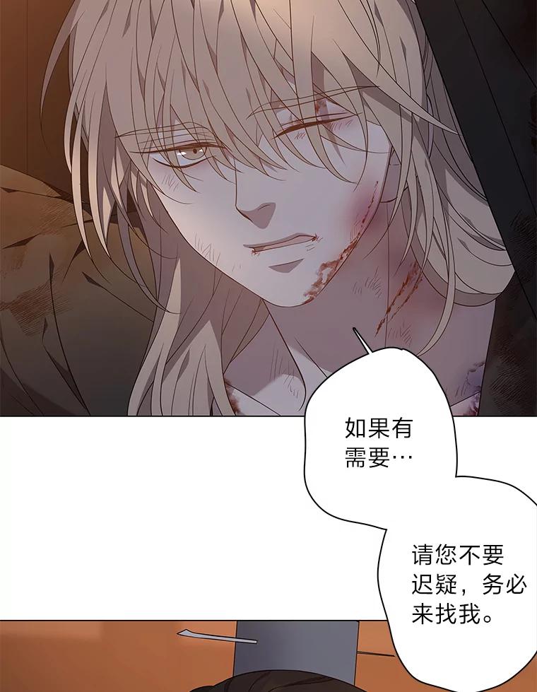 《魅惑狐狸》74.换你自由 第32页