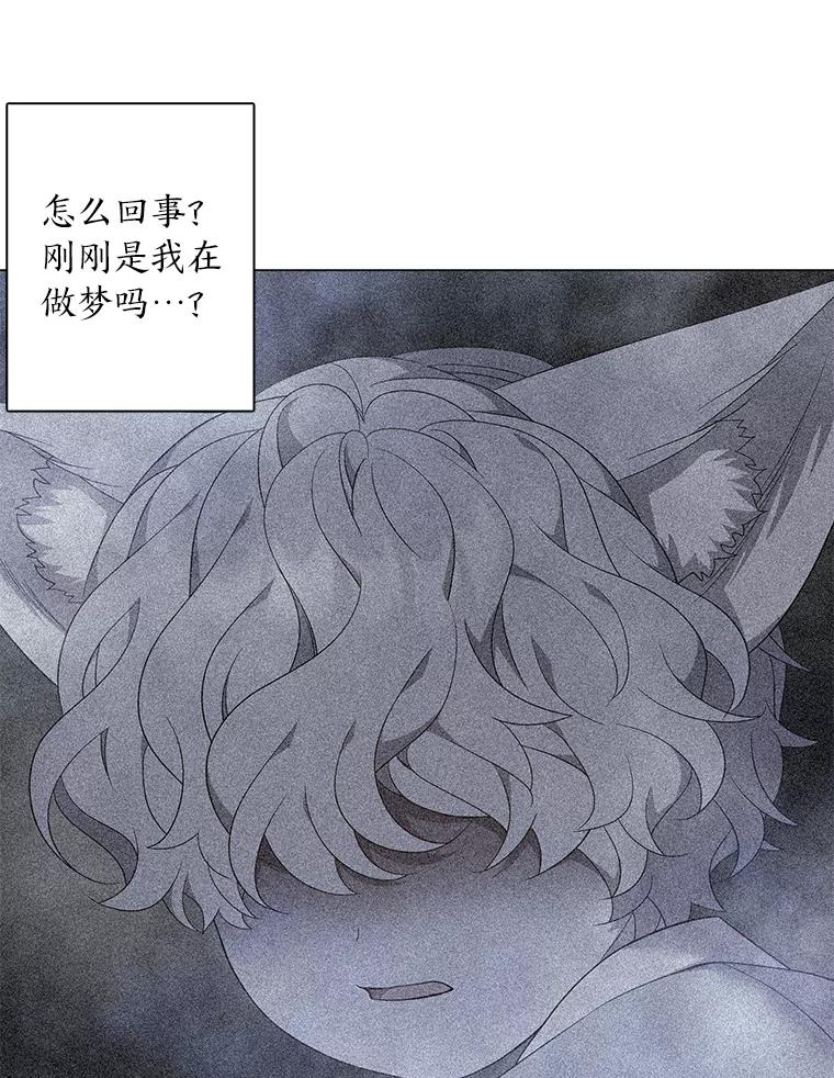 《魅惑狐狸》75.以命相求 第112页