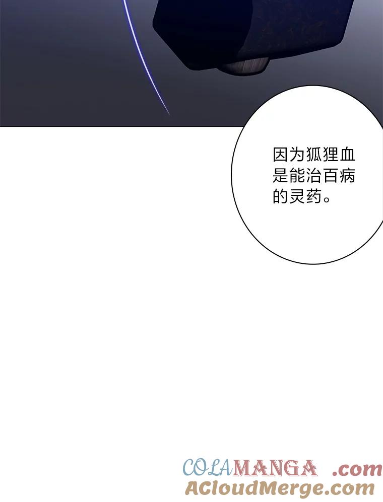 《魅惑狐狸》75.以命相求 第125页