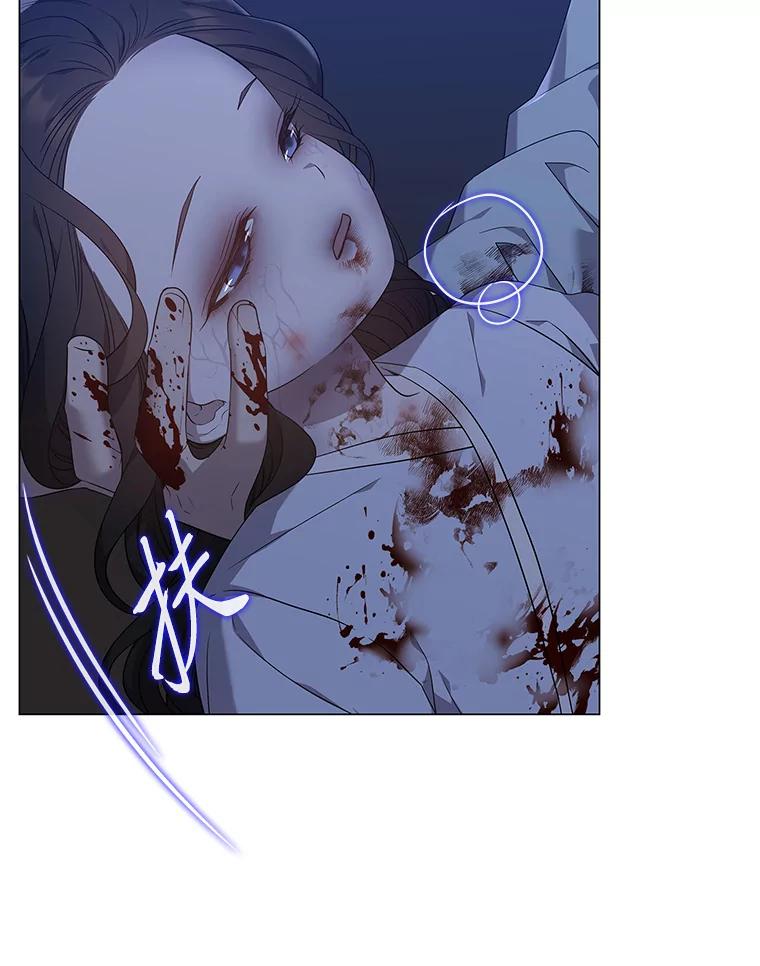 《魅惑狐狸》76.悲剧的开始 第3页