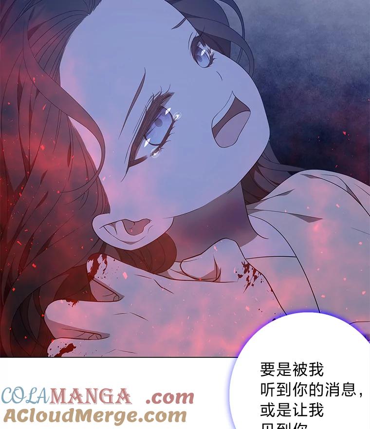 《魅惑狐狸》77.无处安放的恨意 第41页