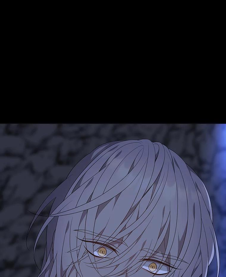 《魅惑狐狸》77.无处安放的恨意 第103页