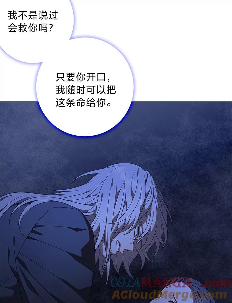 《魅惑狐狸》77.无处安放的恨意 第13页