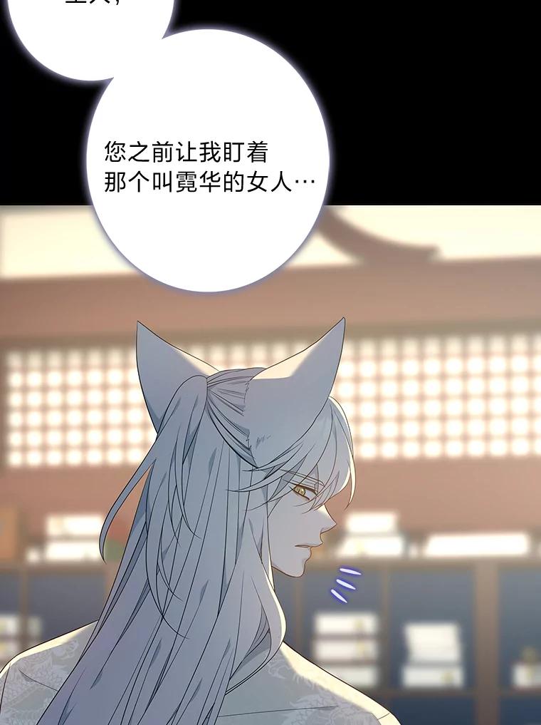 《魅惑狐狸》77.无处安放的恨意 第147页