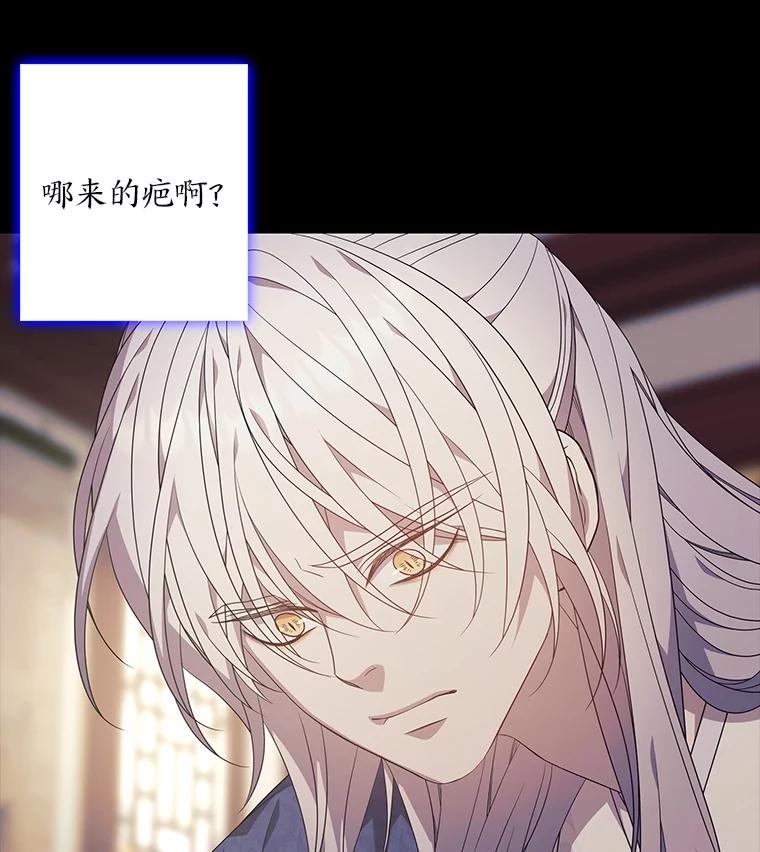 《魅惑狐狸》78.终是骗不过自己 第48页