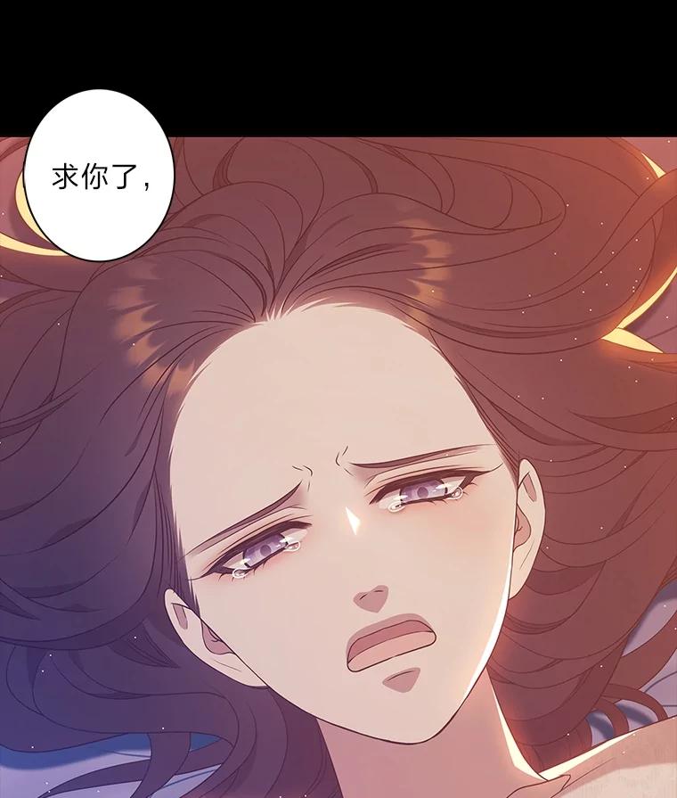 《魅惑狐狸》78.终是骗不过自己 第102页