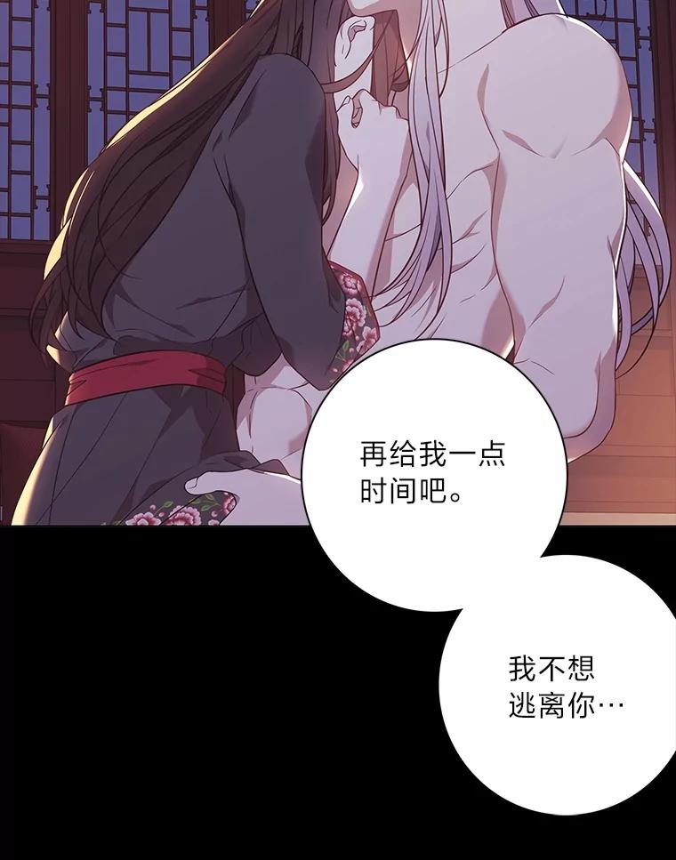 《魅惑狐狸》78.终是骗不过自己 第146页