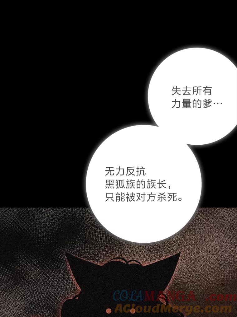 《魅惑狐狸》78.终是骗不过自己 第81页