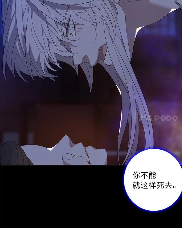 《魅惑狐狸》78.终是骗不过自己 第178页
