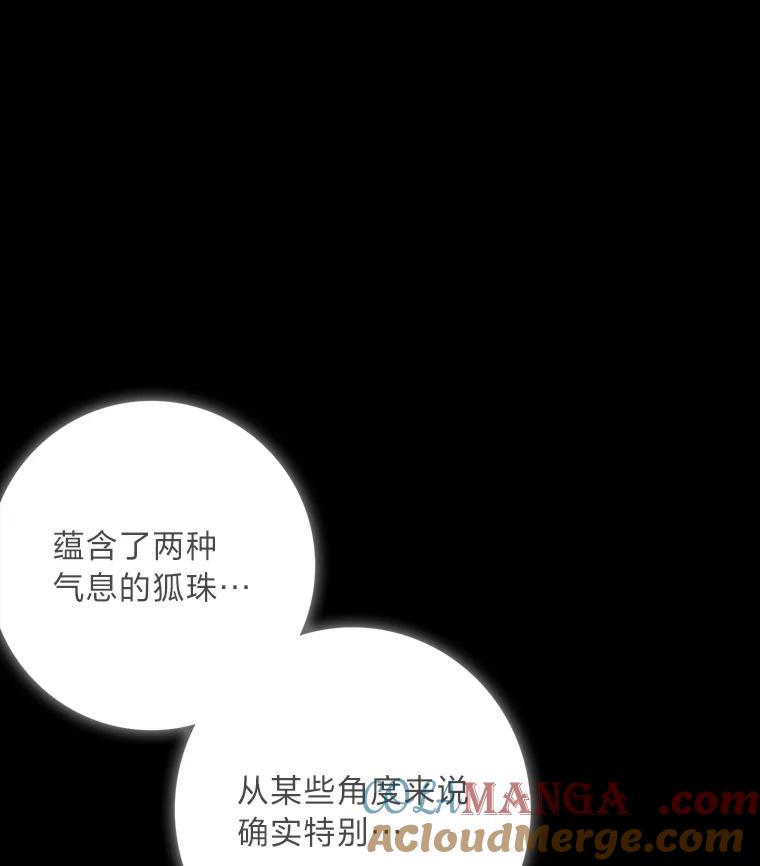 《魅惑狐狸》78.终是骗不过自己 第85页