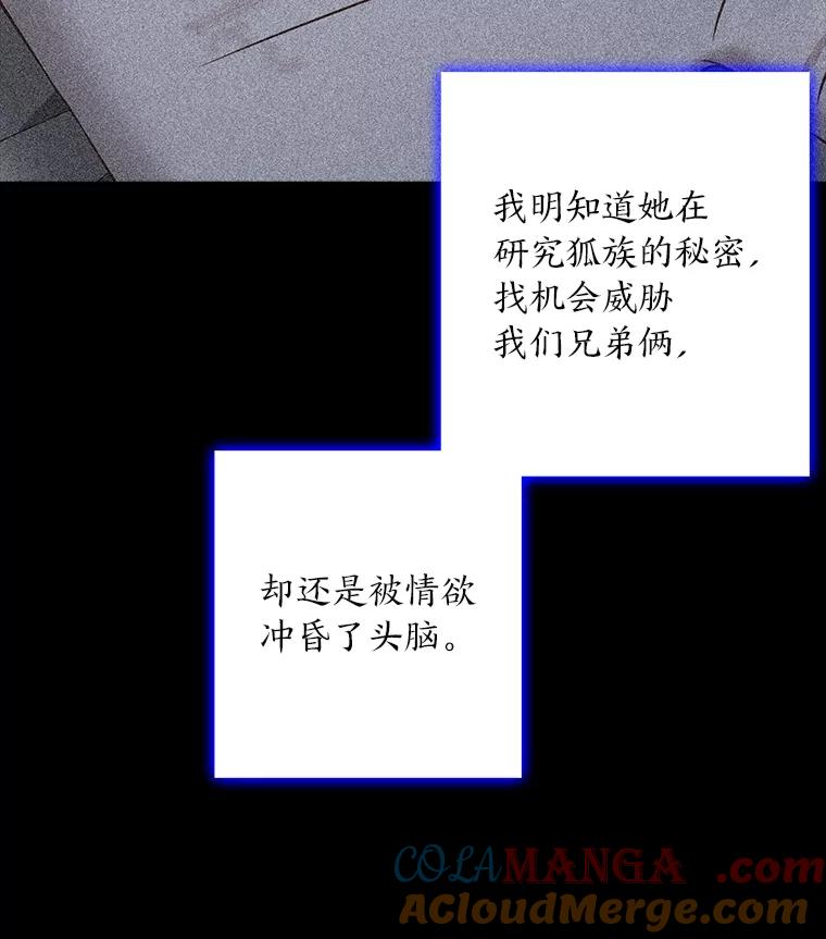 《魅惑狐狸》78.终是骗不过自己 第125页