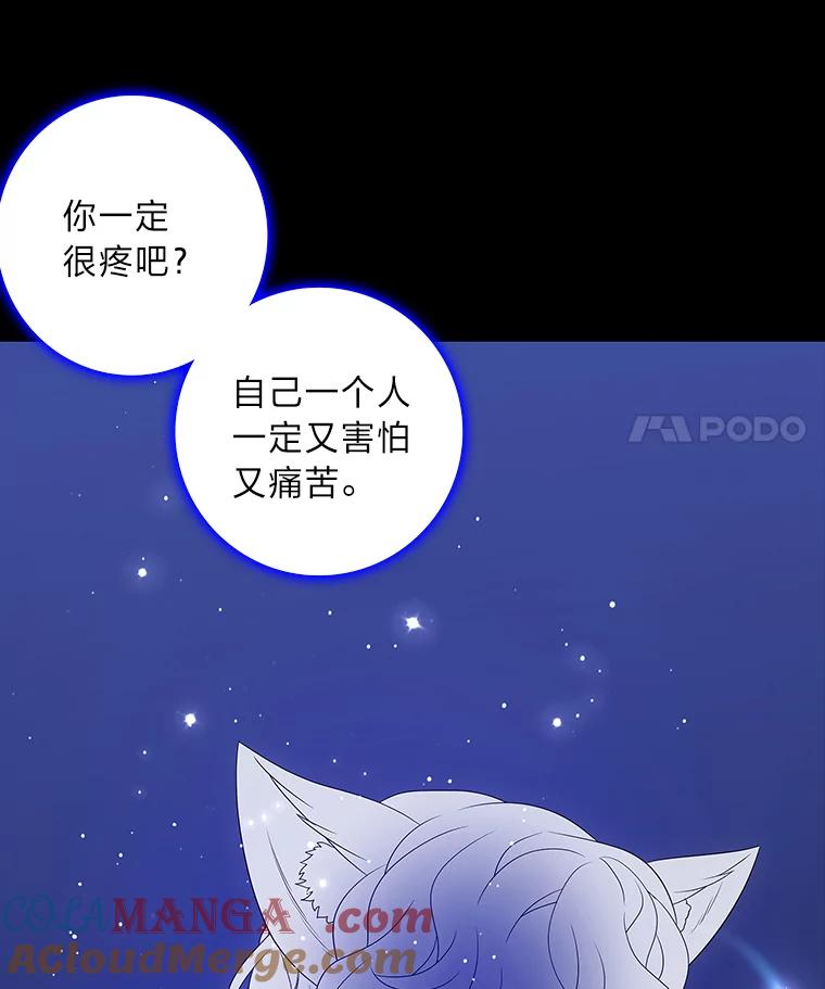《魅惑狐狸》79.雪狐的最后 第65页