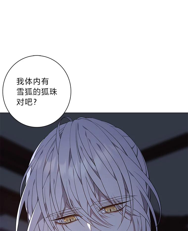 《魅惑狐狸》79.雪狐的最后 第23页